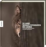 50 Jahre Wildlife Fotografien des Jahres: Wie sich die Naturfotografie zur Kunst entwickelte